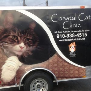 Coastal Cat Clinic - Coastal Cat Clinic: info about Coastal Cat Clinic