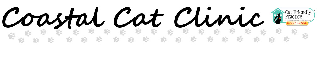 Coastal Cat Clinic to Coastal Cat Clinic! We are a felineonly